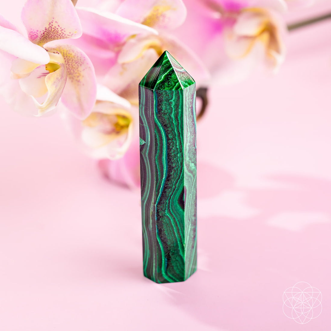 Natural Malachite Crystal Point