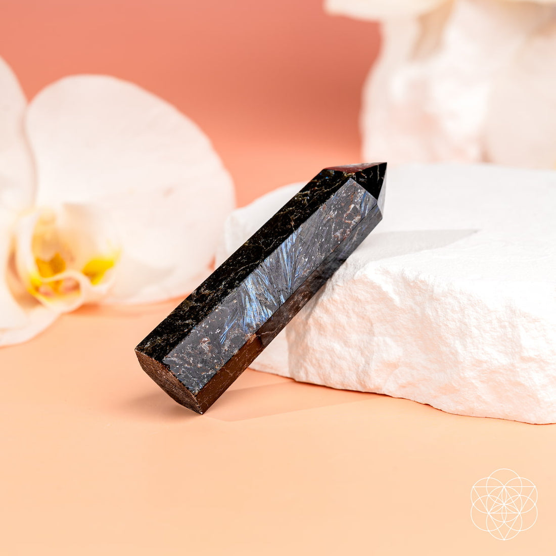 Natural Arfvedsonite Crystal Point