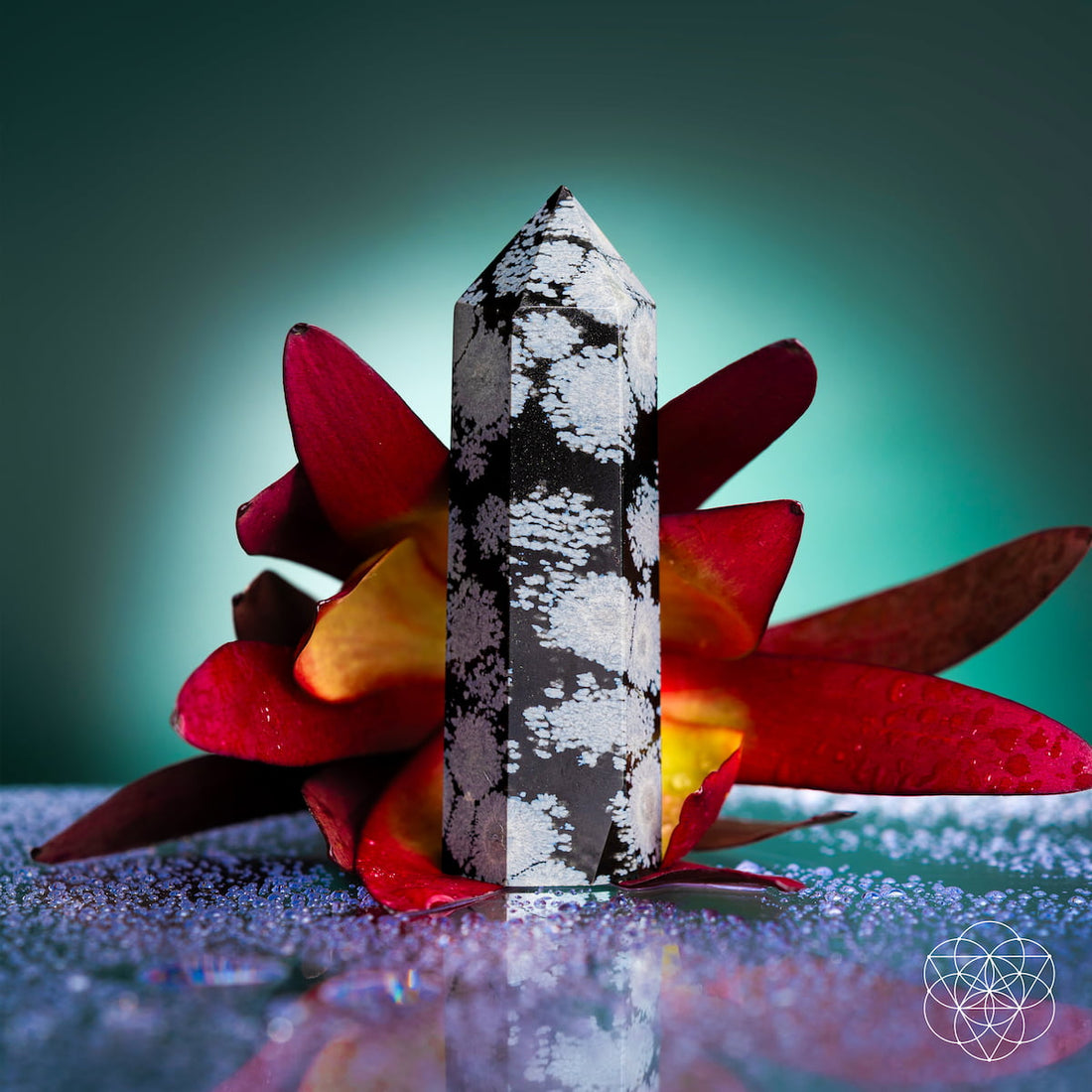 Natural Snowflake Obsidian Crystal Point