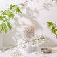 12oz Orchard Luxury Soy Candle