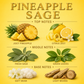 Pineapple Sage Room Spray
