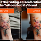 6-Pack Body Candy Tattoo Aftercare Tattoo Balm