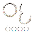 Titanium Front Facing Hinged Segment Clicker with CNC Set 1mm Ombre Fade Gem